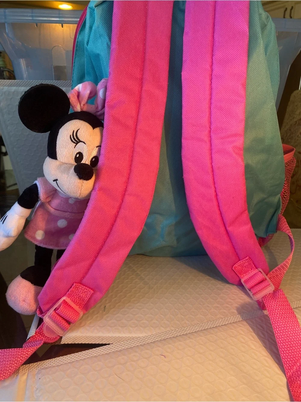 Disney minnie mouse